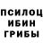 Псилоцибиновые грибы MAGIC MUSHROOMS Lord Estragon
