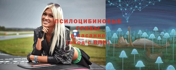 мяу мяу мука Костерёво