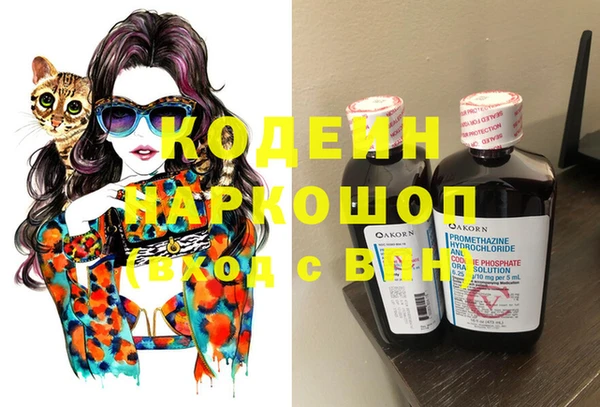 индика Корсаков