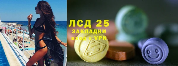 индика Корсаков