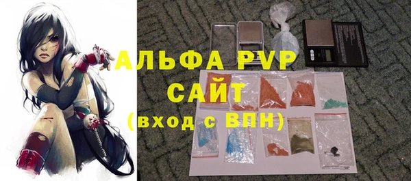 индика Корсаков