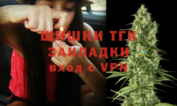 индика Корсаков