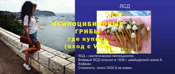амф Коряжма