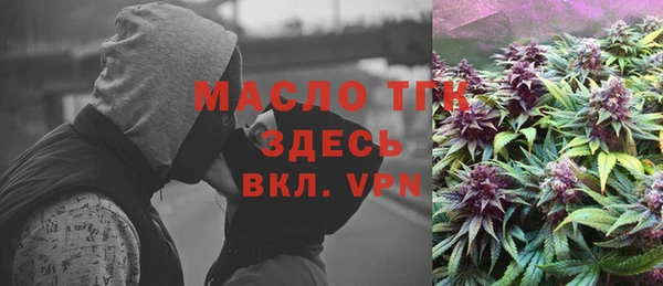 сатива Краснослободск