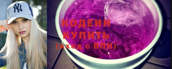 индика Корсаков