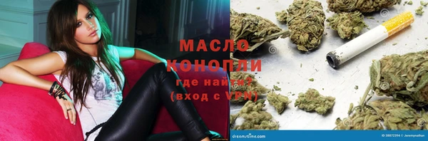 индика Корсаков