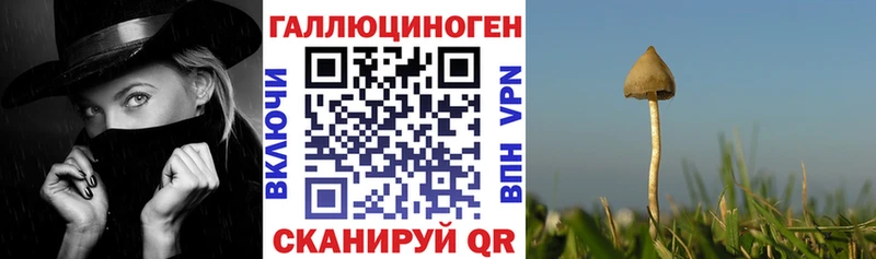 Купить закладки  Донской  Галлюциногенные грибы ЛСД 